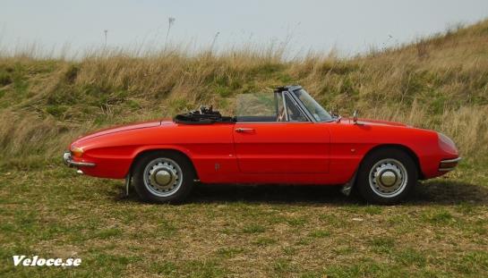 alfa romeo duetto spider